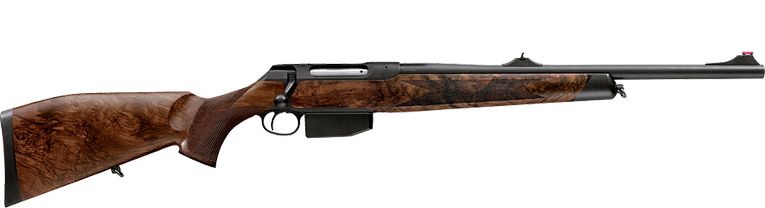 Sauer_202_Forest_2014.jpg